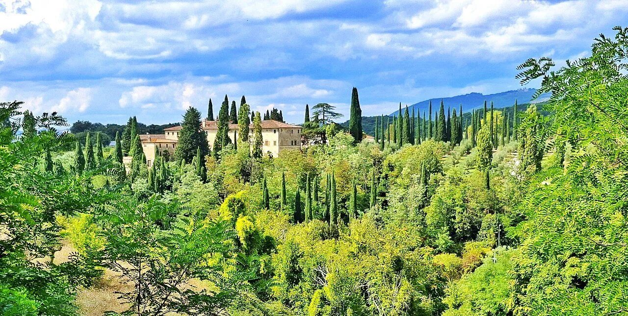 La campagna intorno a Castelnuovo Berardenga con cipressi e olivi